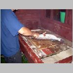 Majdalena 25.6.2008 -45.JPG